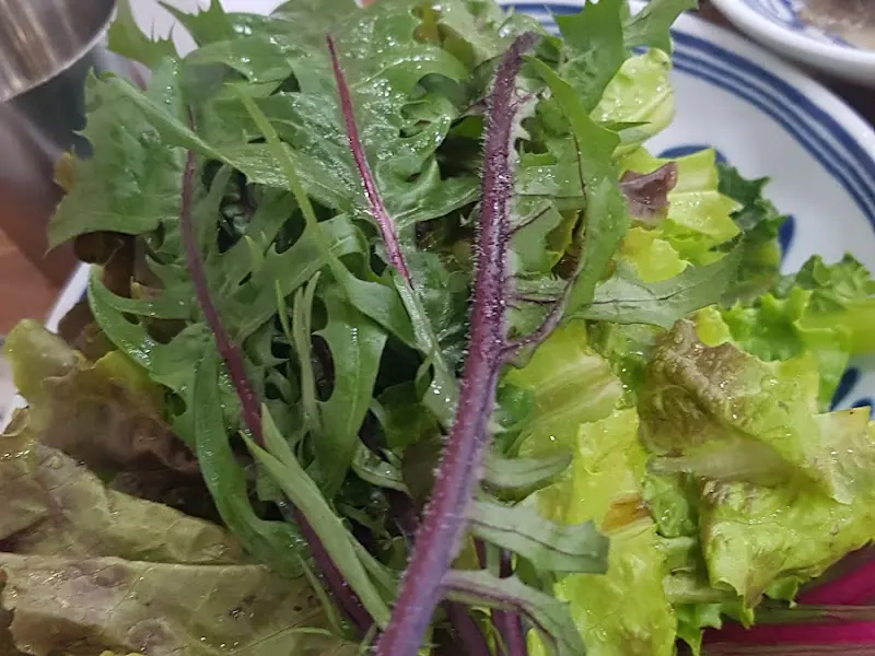 신선한 쌈 채소