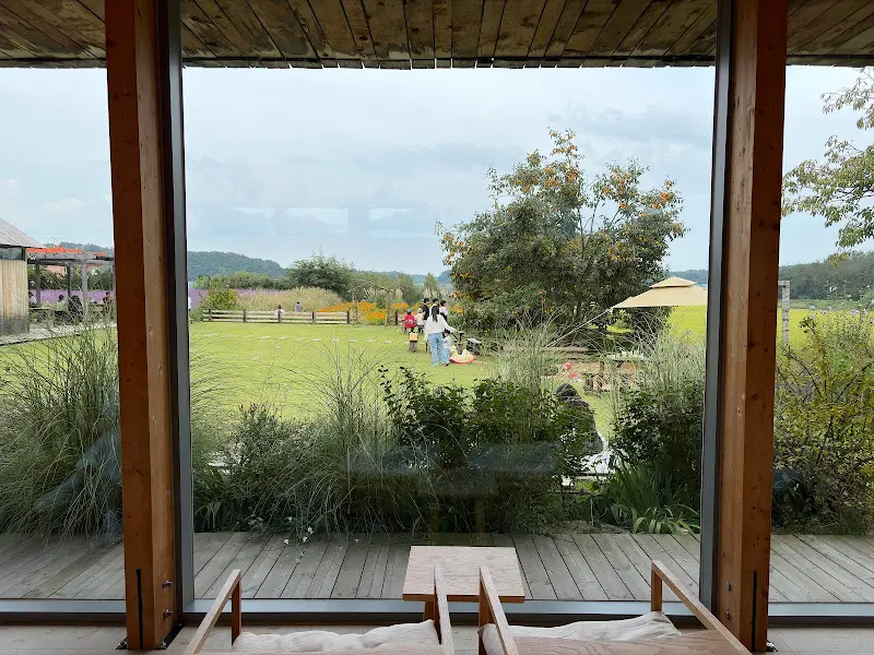 카페 내부에서 바라본 정원의 모습