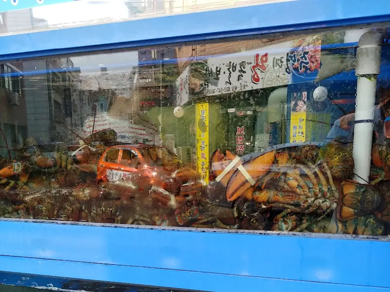 수조 안의 랍스터들