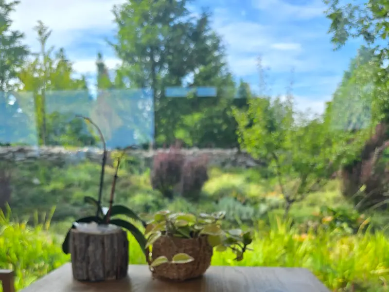 통유리창 너머로 보이는 푸르른 정원의 풍경