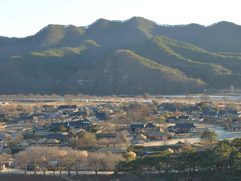 기와지붕들이 옹기종기 모여 있는 안동 하회마을 전경