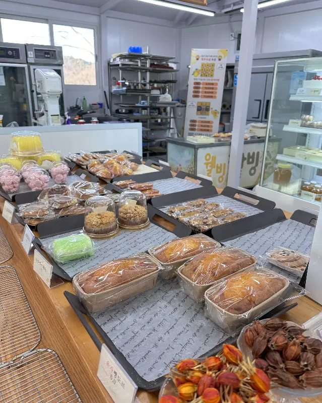 다양한 빵 종류