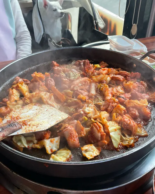 강아지와 함께 즐기는 닭갈비