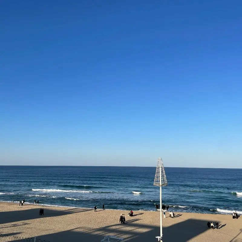 맑은 하늘과 푸른 바다가 어우러진 강문해변 풍경