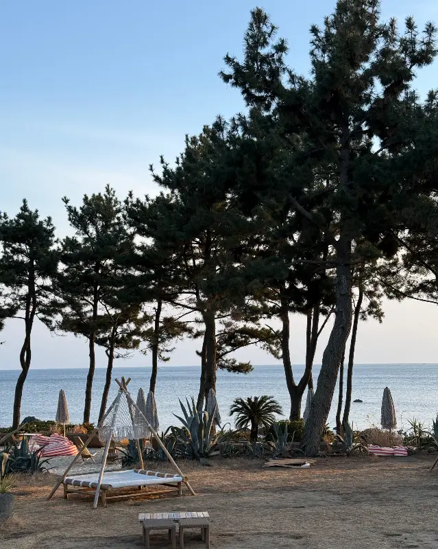 물고기상회 인근 해변