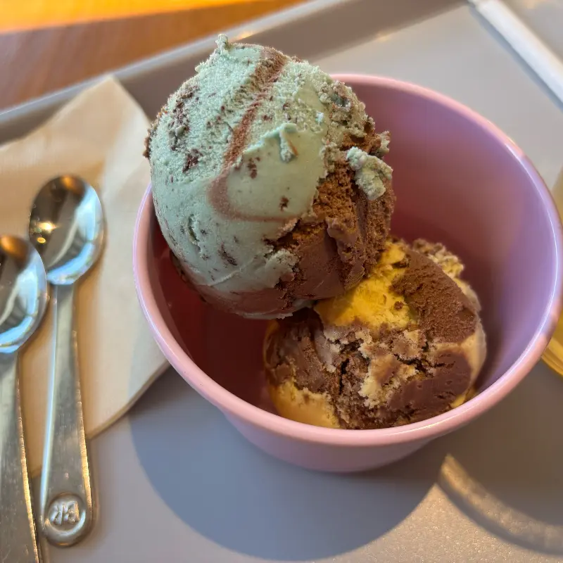 민트초코와 요거트 아이스크림