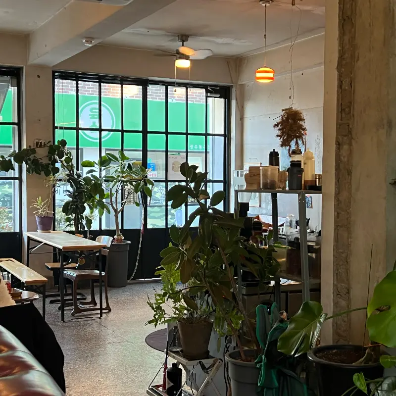 카페 내부의 모습. 큰 창문으로 햇살이 들어오고 있고, 테이블과 의자가 놓여 있다. 곳곳에 식물이 배치되어 있어 싱그러운 느낌을 준다.