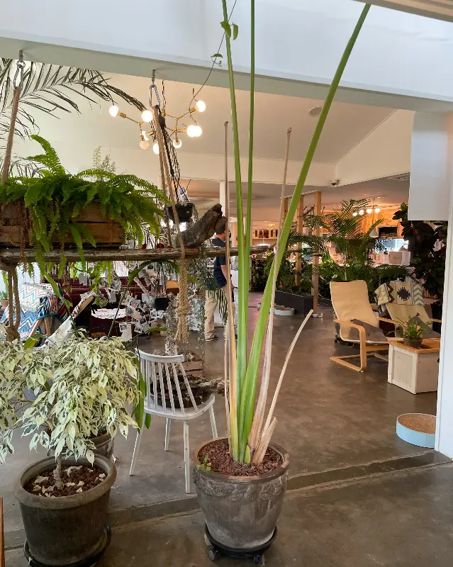 카페 내부 좌석