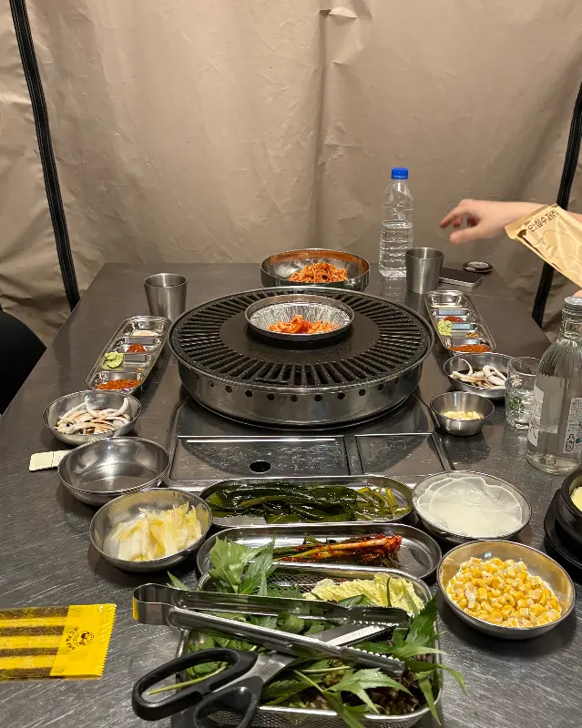야외돼지