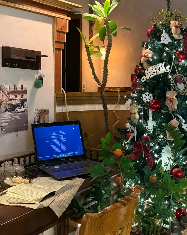 크리스마스 트리 장식