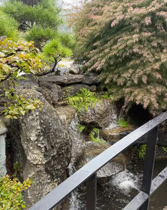 돌 징검다리와 푸르른 나무들