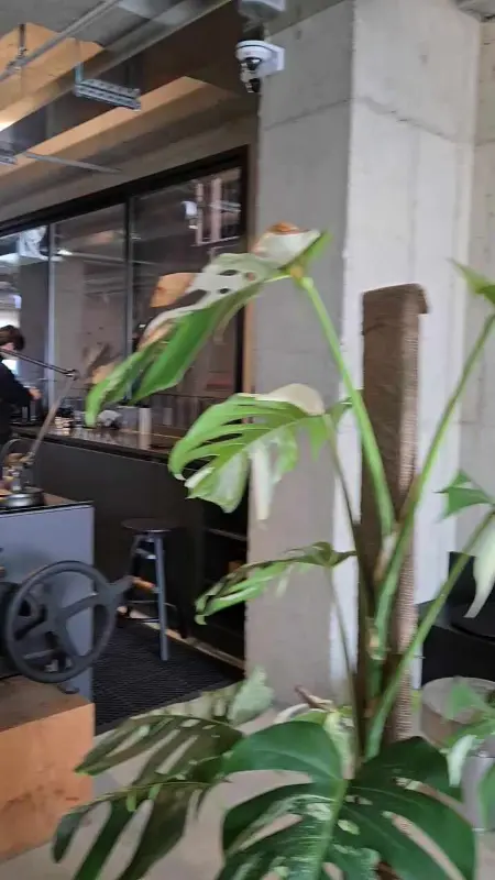 카페 내부의 플랜테리어