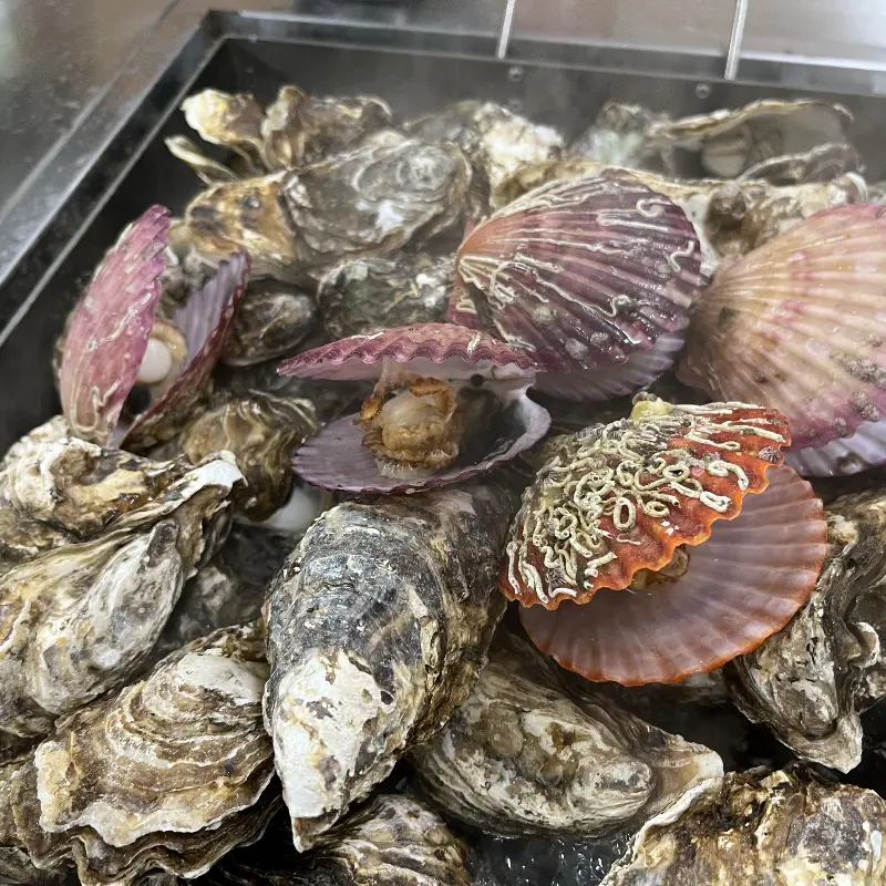 굴과 가리비 찜