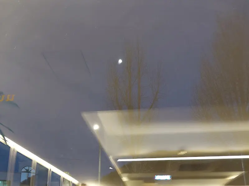 카페 내부 천장의 조명