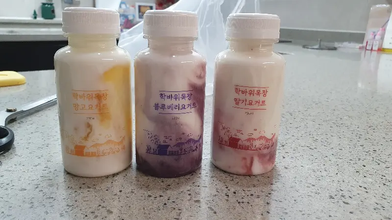 다양한 요거트 메뉴