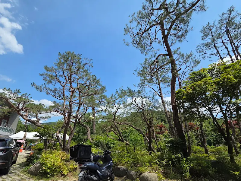 푸른 하늘과 조경이 어우러진 밀가마국시 외부 전경