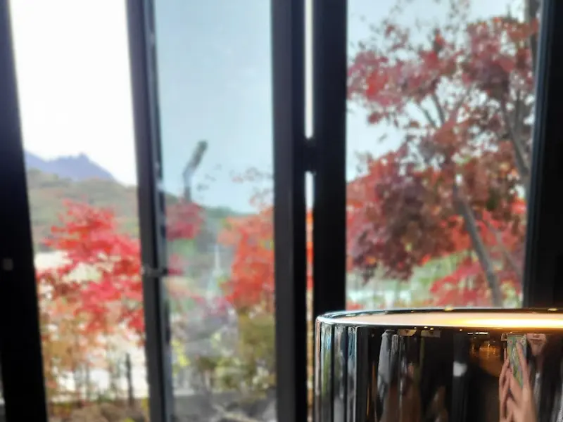 창밖으로 보이는 붉은 단풍