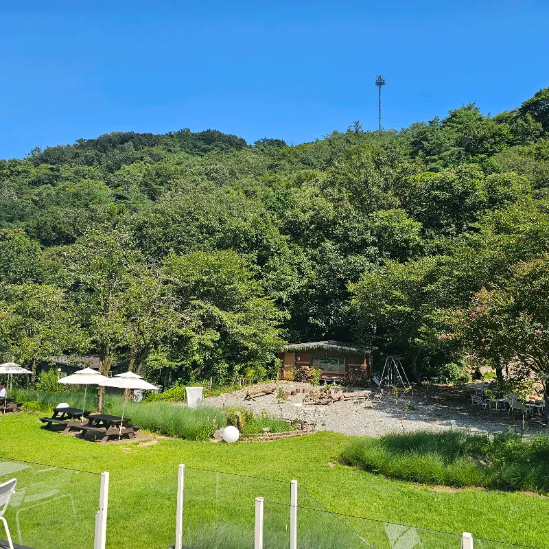 카페 외부 풍경