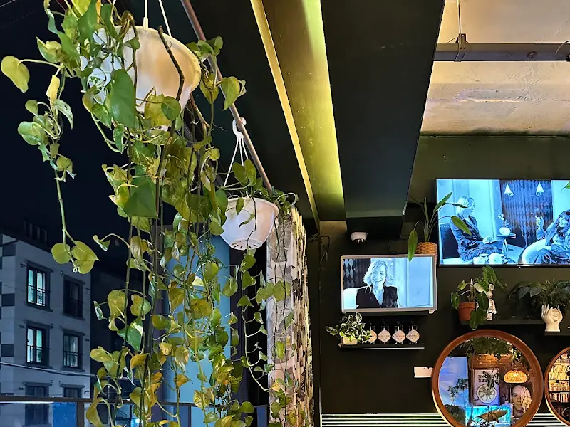 SOUND GARDEN 내부 식물