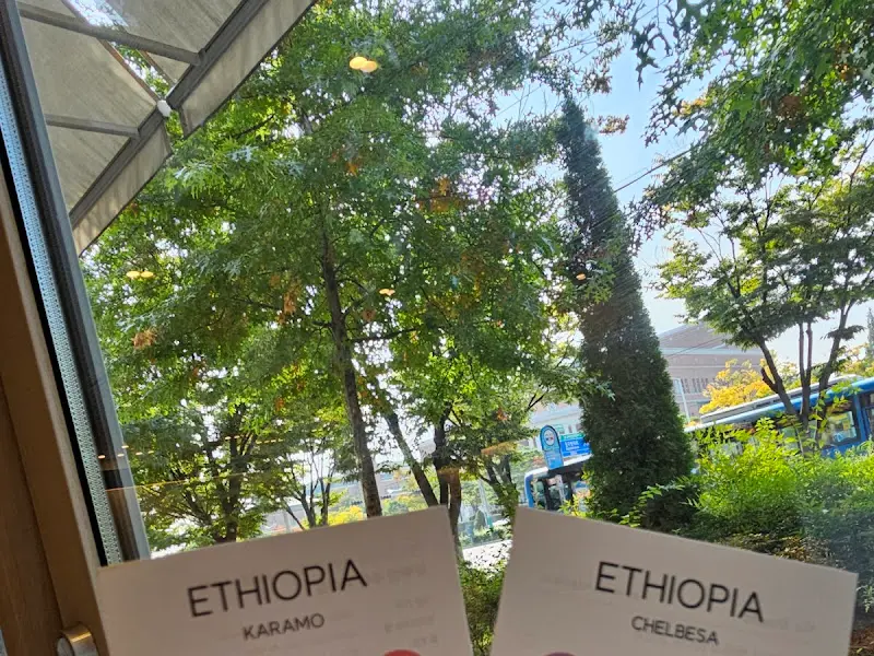 에티오피아 첼베사 원두 정보