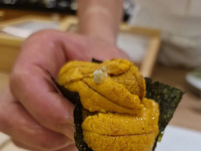 우니가 듬뿍 올라간 금태 우니 초밥