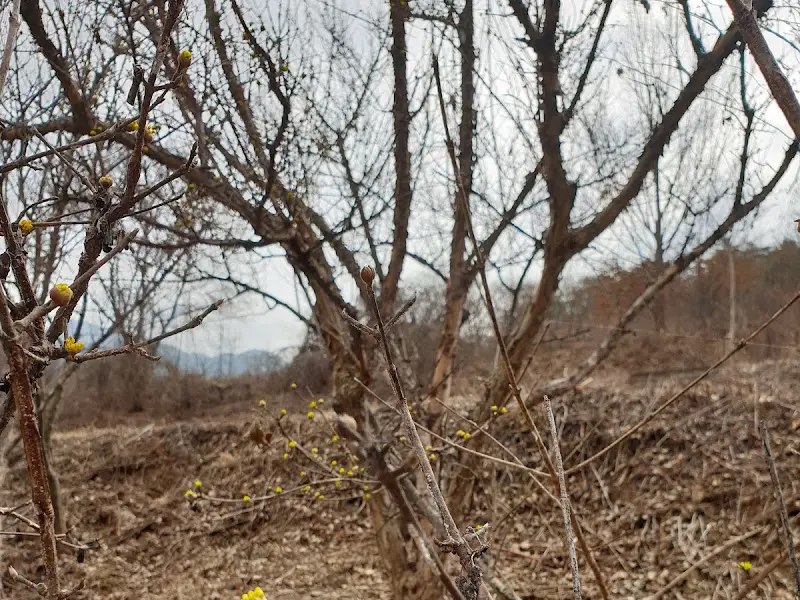 산막이옛길 풍경