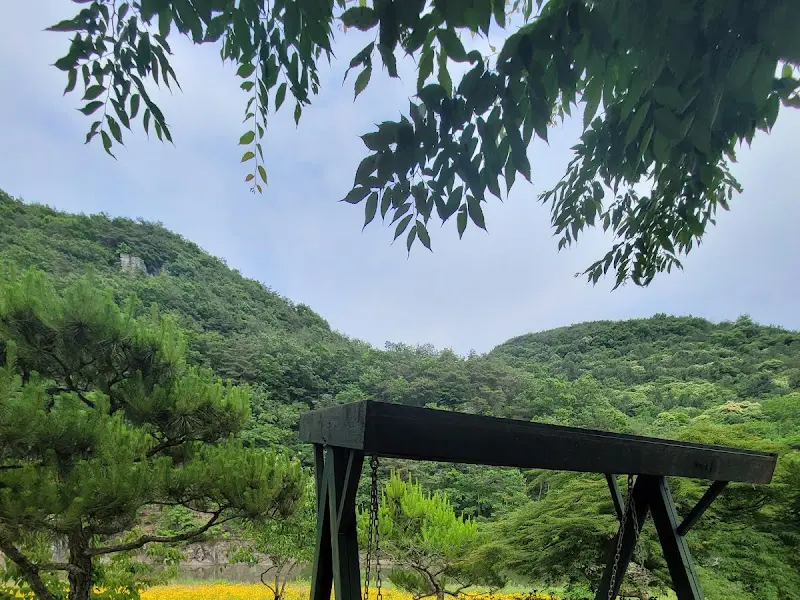 카페 주변의 나무들과 풍경