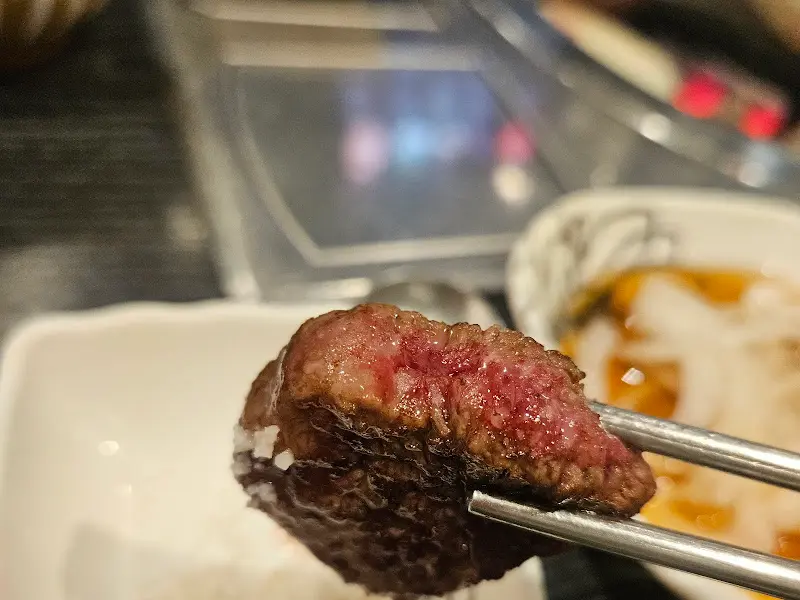 젓가락으로 집어 올린 잘 구워진 한우 한 점.