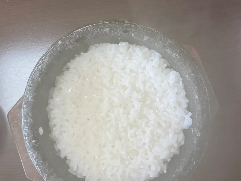 갓 지은 돌솥밥