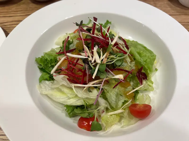 신선한 채소와 토마토가 어우러진 샐러드