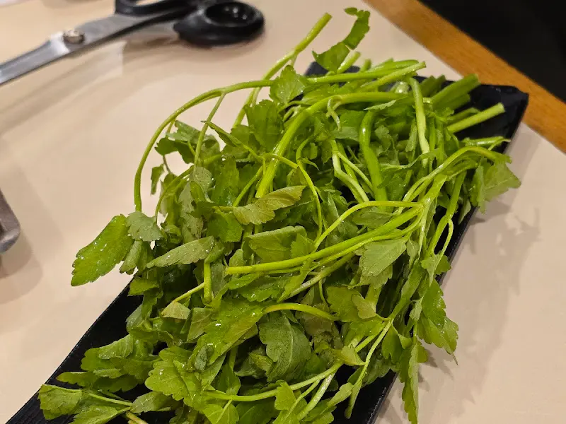 접시에 담긴 미나리