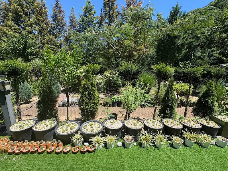 레스토랑 주변 풍경