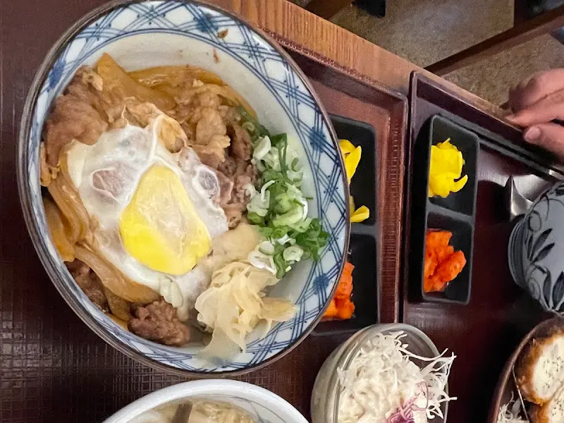 윤기가 흐르는 규동의 모습