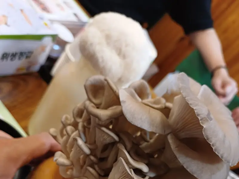 노루궁뎅이버섯