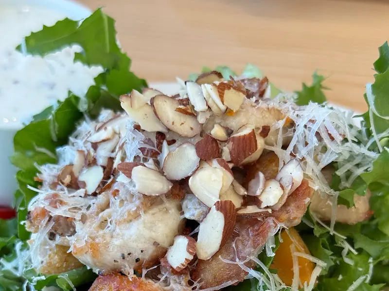 리코타 치즈 샐러드