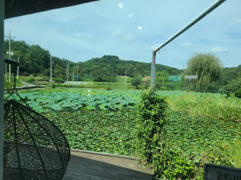 창밖으로 보이는 연못 풍경