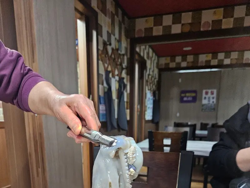 사장님이 직접 손질해주는 낙지