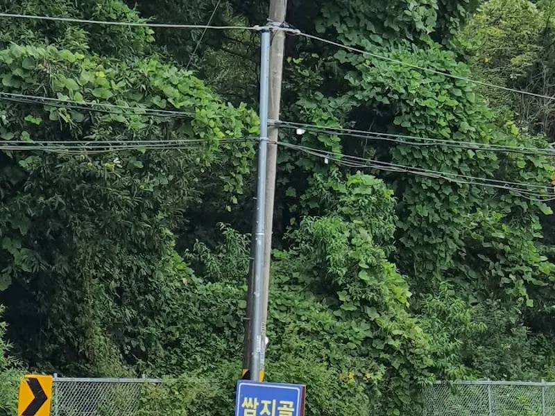 식당으로 향하는 길