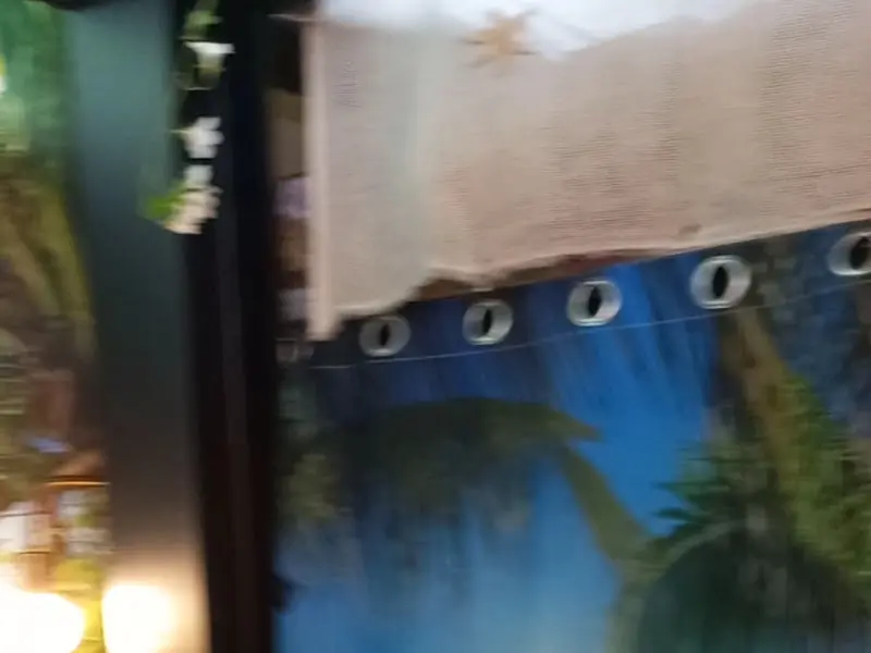 열대 우림이 연상되는 쿤의 벽면 장식