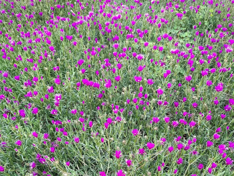 식당 주변 풍경