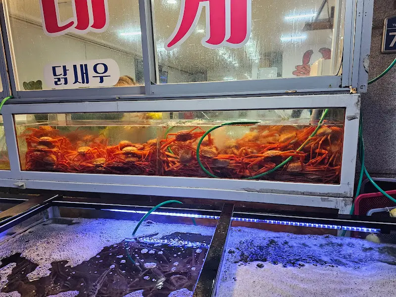 수족관 속 대게