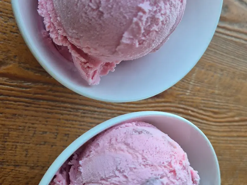 상큼한 젤라또 아이스크림