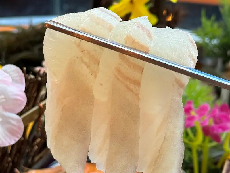 얇게 썰린 차돌박이