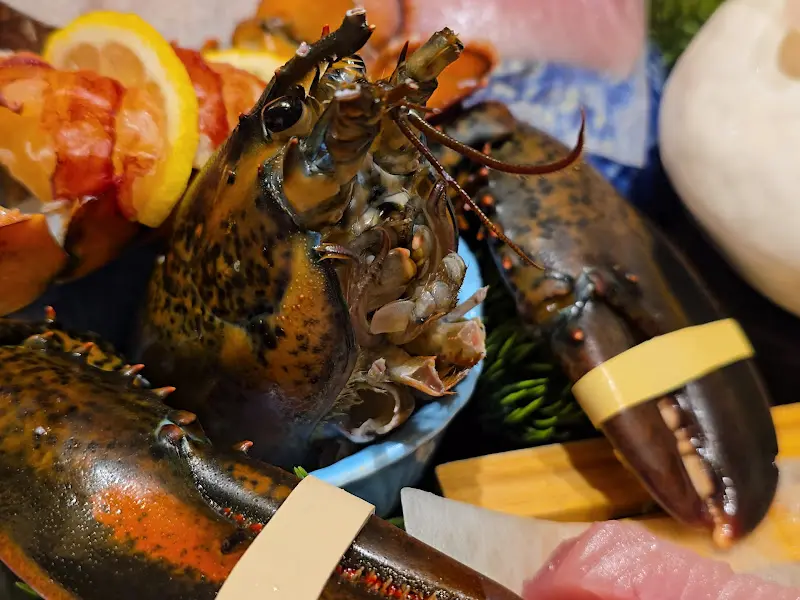 싱싱한 랍스터 회