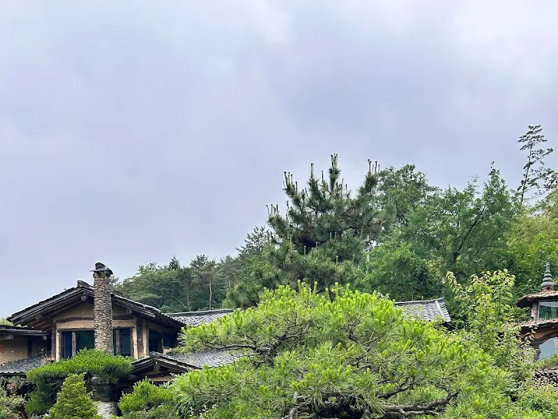 푸르른 숲에 둘러싸인 식당 건물