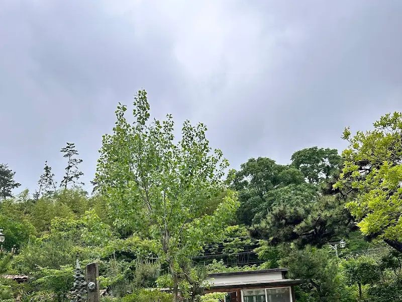 식당 주변을 둘러싼 아름다운 자연 경관