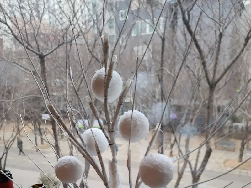 하모네꼬 창밖 풍경