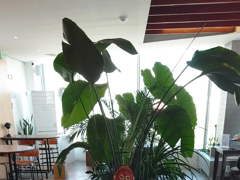 카페 내부는 아늑하고 편안한 분위기를 자아낸다.