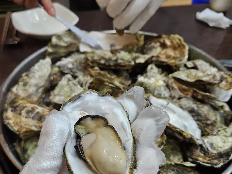 잘 익은 굴을 손질하는 모습