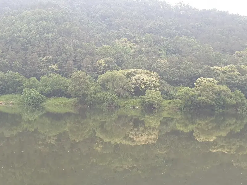 강에 비친 반영